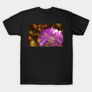 BAD RAP ON RHODODENDRONS T-Shirt